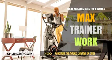 Bowflex Max Trainer: Target Muscles and Full-Body Workout Benefits