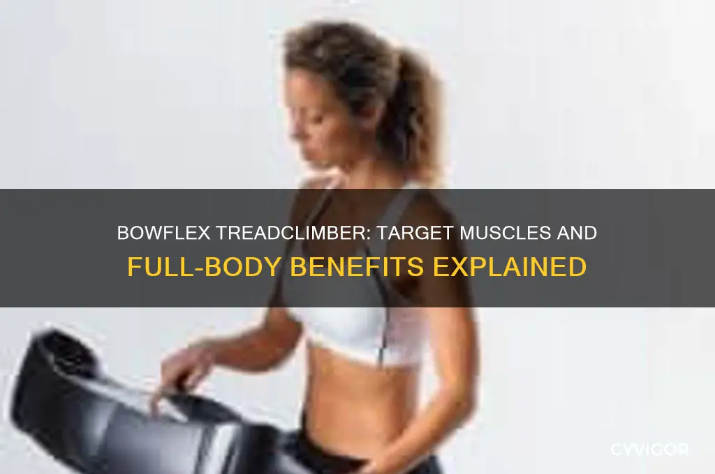 what muscles does the bowflex treadclimber work