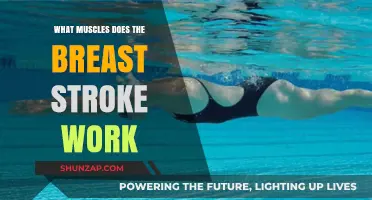 Breaststroke Benefits: Targeted Muscles for Strength and Endurance