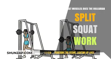 Bulgarian Split Squat: Target Muscles and Benefits Explained