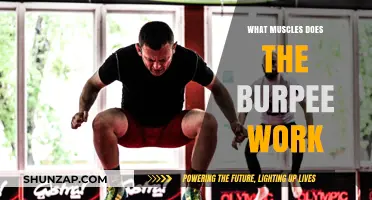 Burpee Benefits: Target Muscles and Full-Body Workout Explained