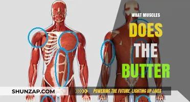 Build a Better Body: Target These Muscles