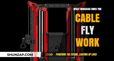 Cable Fly Muscles: Targeted Chest, Shoulders, and Back Activation Explained