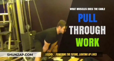 Cable Pull Through Muscles: Targeted Glutes, Hamstrings, and Core Activation