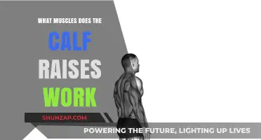Calf Raises: Targeted Muscles and Benefits for Stronger Lower Legs