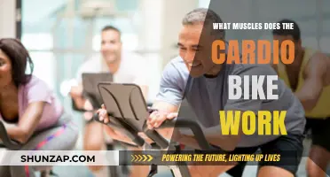 Cardio Bike Benefits: Targeted Muscles for a Full-Body Workout