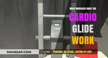 Cardio Glide Workout: Target Muscles and Fitness Benefits Explained