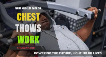 Chest Throws Workout: Targeted Muscles and Benefits Explained