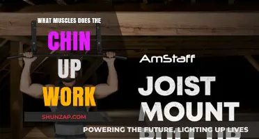 Chin-Ups: Targeting Back, Arms, and Core Muscles Effectively