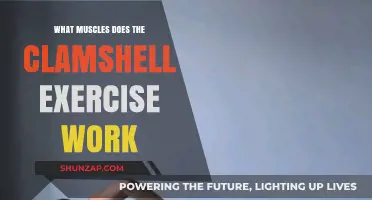 Clamshell Exercise Benefits: Targeted Muscles for Hip and Glute Strength