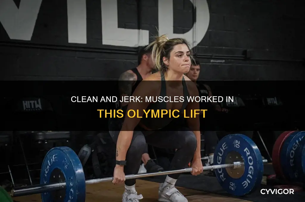 what muscles does the clean and jerk work