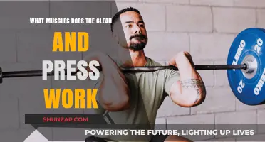 Clean and Press: Targeted Muscles for Strength and Power Training