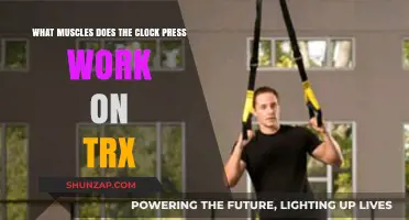TRX Clock Press: Targeted Muscles and Benefits Explained