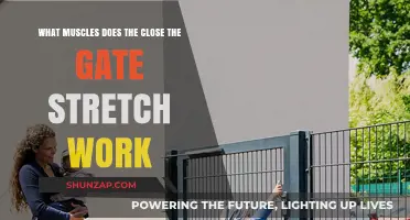 Close the Gate Stretch: Targeted Muscles and Benefits Explained