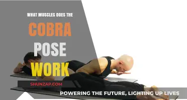 Cobra Pose Benefits: Strengthening Core, Back, and Shoulder Muscles