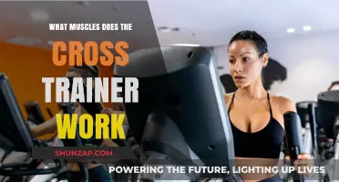 Cross Trainer Workout: Targeted Muscles and Full-Body Benefits Explained