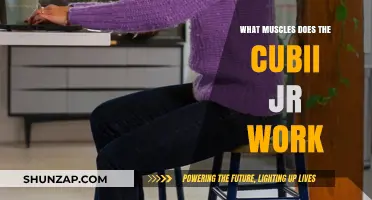 Cubii Jr Workout: Targeted Muscles and Fitness Benefits Explained