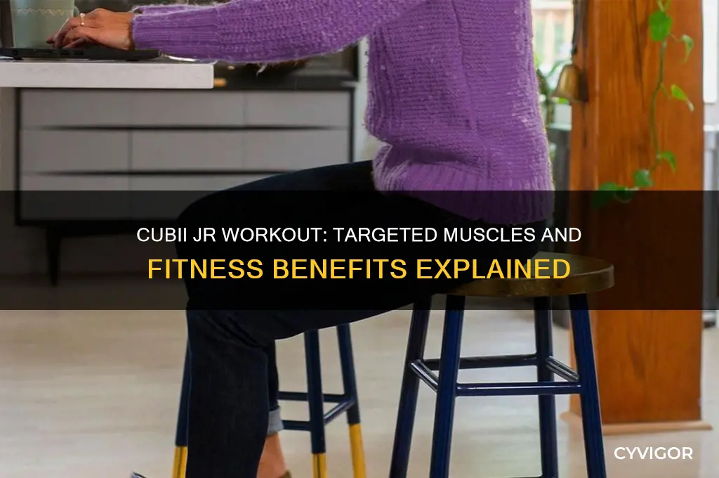 what muscles does the cubii jr work