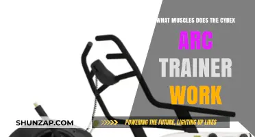 Cybex Arc Trainer: Target Muscles and Full-Body Benefits Explained