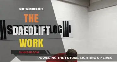 Deadlift Muscles: A Comprehensive Guide to Targeted Strength Training