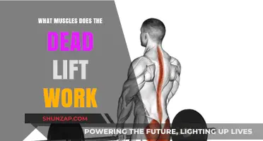 Deadlift Muscles: Unlocking Full-Body Strength and Core Power