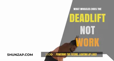 Deadlift Muscles: What Key Groups Are Left Out?