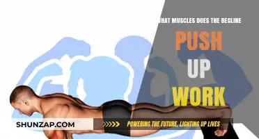 Decline Push-Up Muscles: Targeted Chest, Shoulders, and Triceps Activation