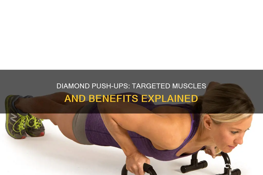 what muscles does the diamond push up work
