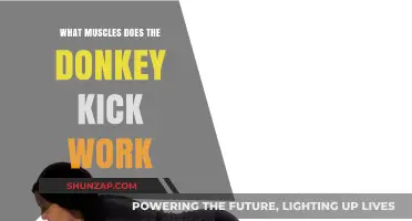 Donkey Kick Muscles: Targeting Glutes, Core, and Lower Body Strength
