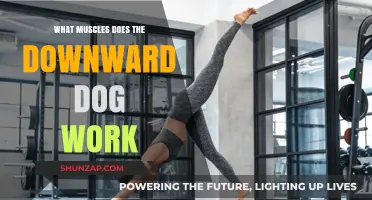 Downward Dog Benefits: Targeted Muscles and Full-Body Strengthening Explained