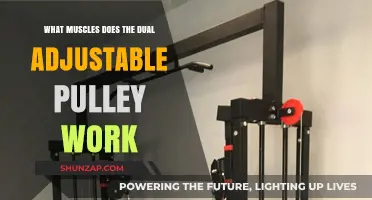 Dual Adjustable Pulley: Target Muscles and Workout Benefits Explained