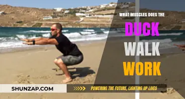 Duck Walk Muscles: Targeted Lower Body Strength and Endurance Benefits