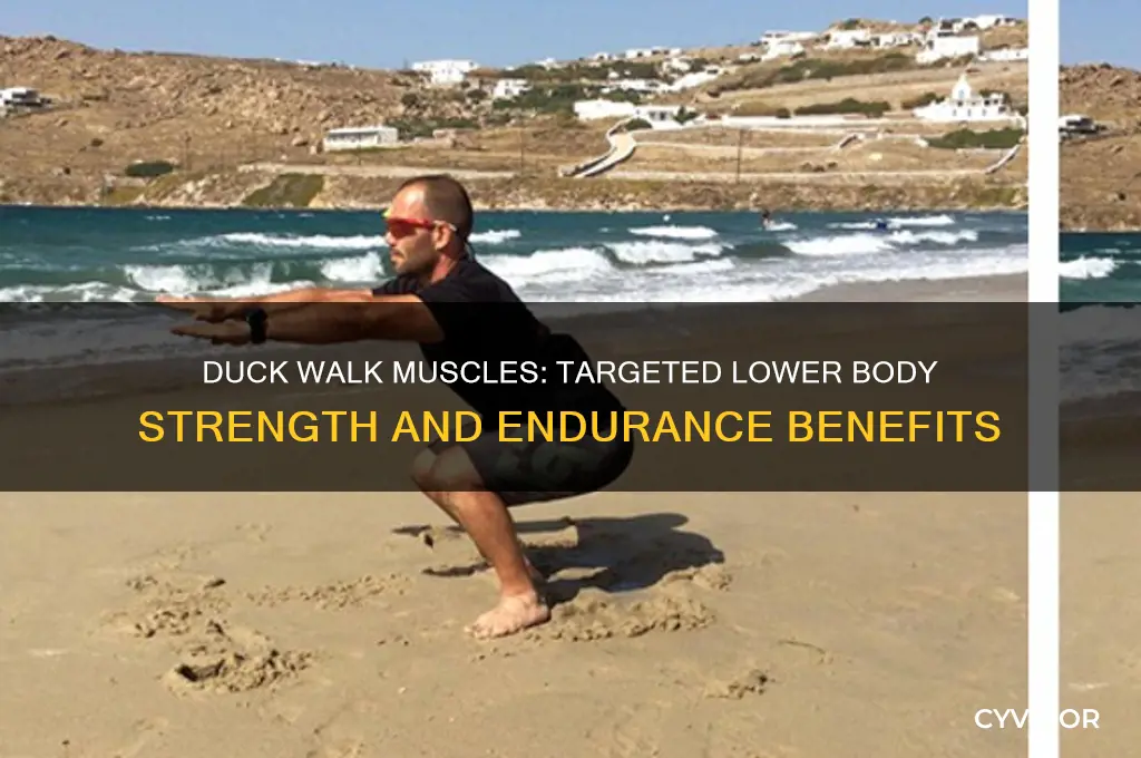 what muscles does the duck walk work