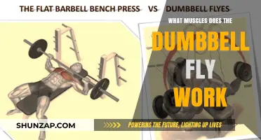 Dumbbell Fly Muscles: Targeted Chest, Shoulders, and Back Workout Explained