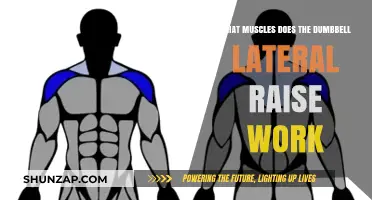 Dumbbell Lateral Raise: Targeted Muscles and Benefits Explained