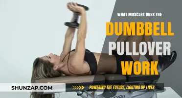 Dumbbell Pullover Muscles: Targeted Chest, Back, and Core Workout Explained