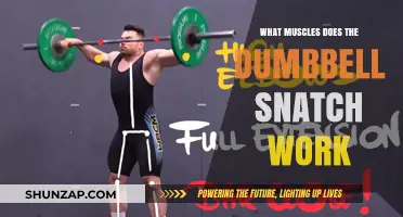 Dumbbell Snatch: Muscles Worked and Full-Body Benefits Explained