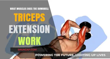 Dumbbell Triceps Extension: Target Muscles and Workout Benefits Explained