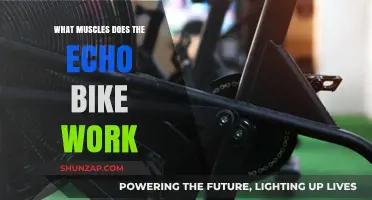 Echo Bike Workout: Target Muscles and Full-Body Benefits Explained
