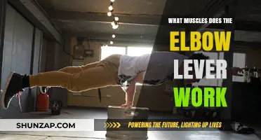 Elbow Lever Workout: Target Muscles and Strength Benefits Explained