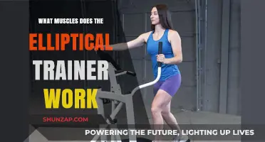 Elliptical Trainer Benefits: Targeted Muscles for Full-Body Workouts