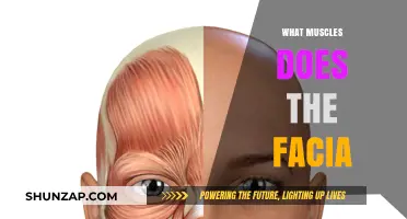 Facial Workouts: Targeting Muscles for Youthful Skin