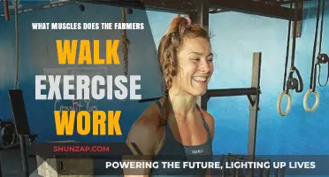 Farmers Walk Exercise: Muscles Worked and Benefits Explained