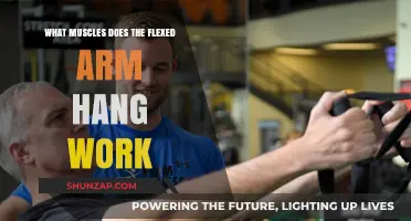 Flexed Arm Hang Muscles: Targeted Strength Training Benefits Explained