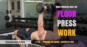 Floor Press Muscles: Targeted Upper Body Strength Training Explained