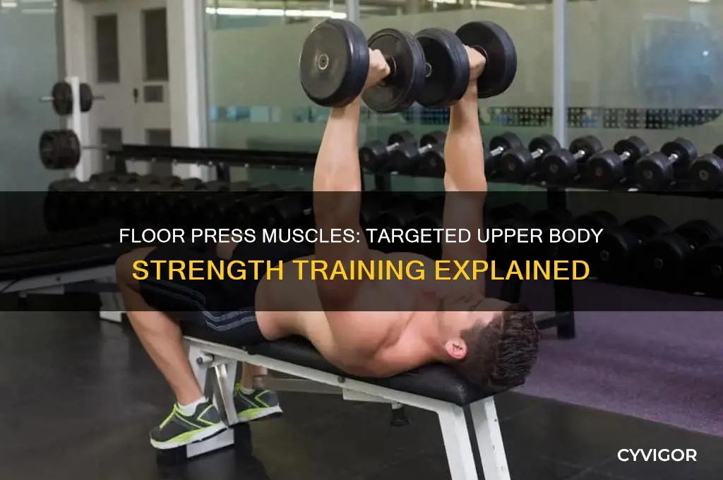 what muscles does the floor press work