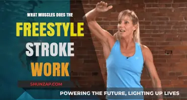 Freestyle Stroke: Key Muscles Engaged in This Swimming Technique
