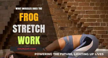 Frog Stretch Benefits: Targeted Muscles and Flexibility Explained