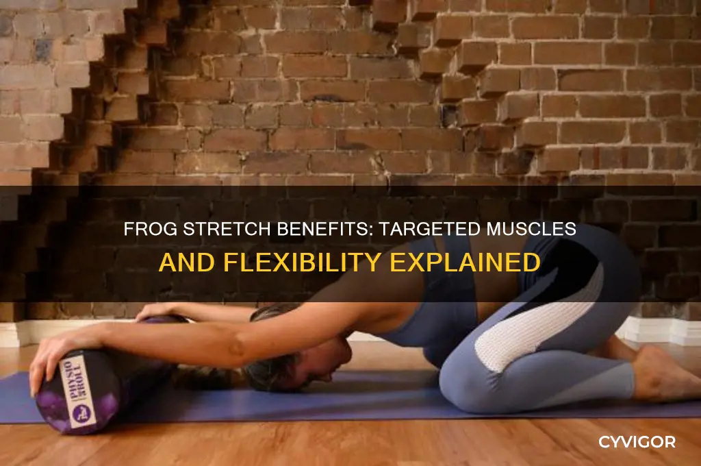 what muscles does the frog stretch work