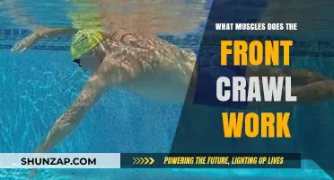 Front Crawl Muscles: A Full-Body Workout Breakdown